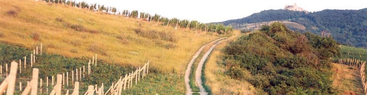 TERRA NOBILIS